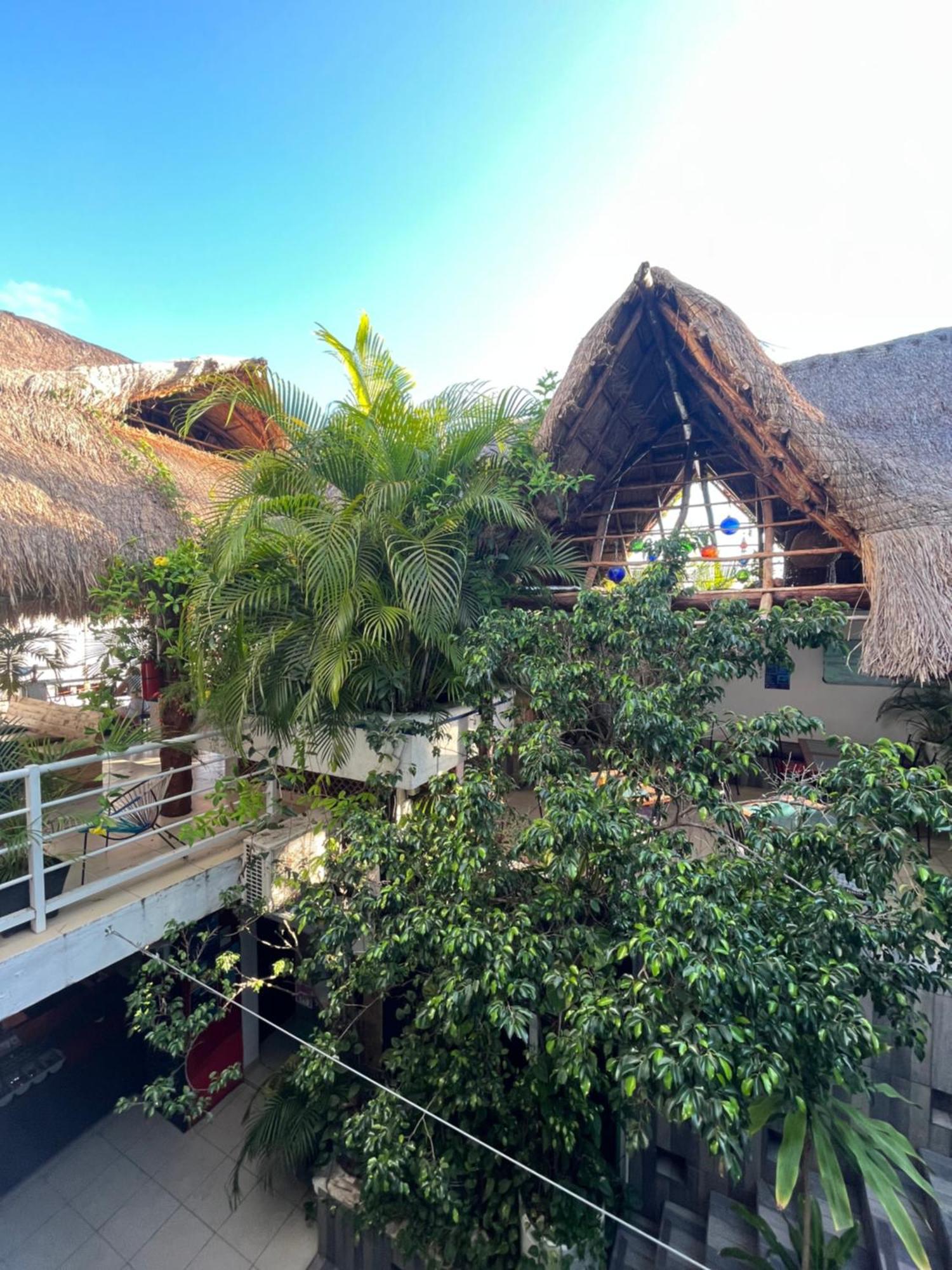 Hostelito Hotel Косумел Екстериор снимка