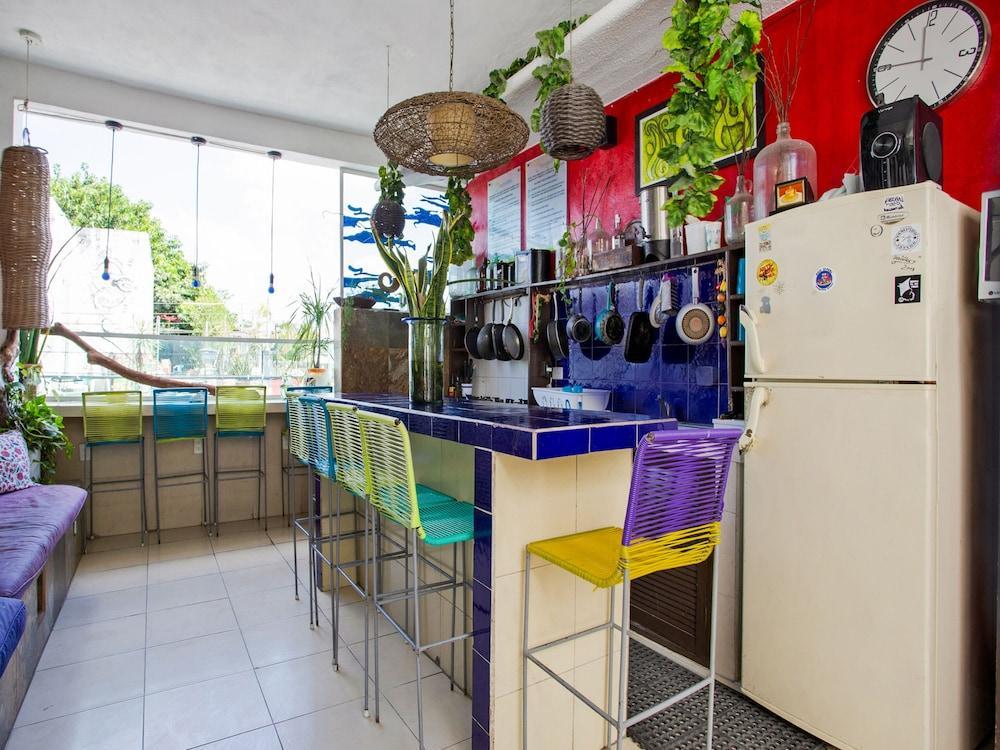 Hostelito Hotel Косумел Екстериор снимка